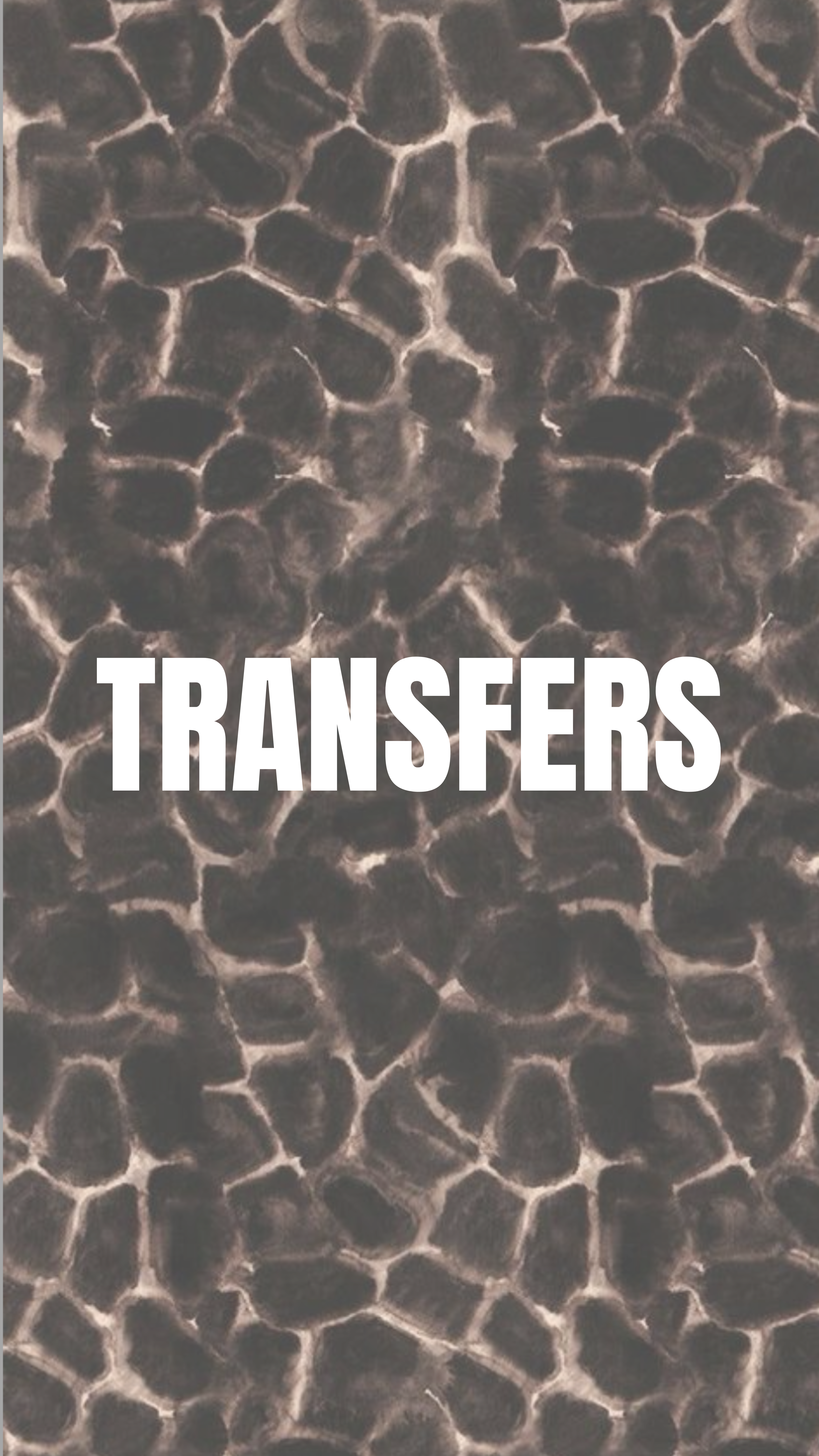 DTF Transfers