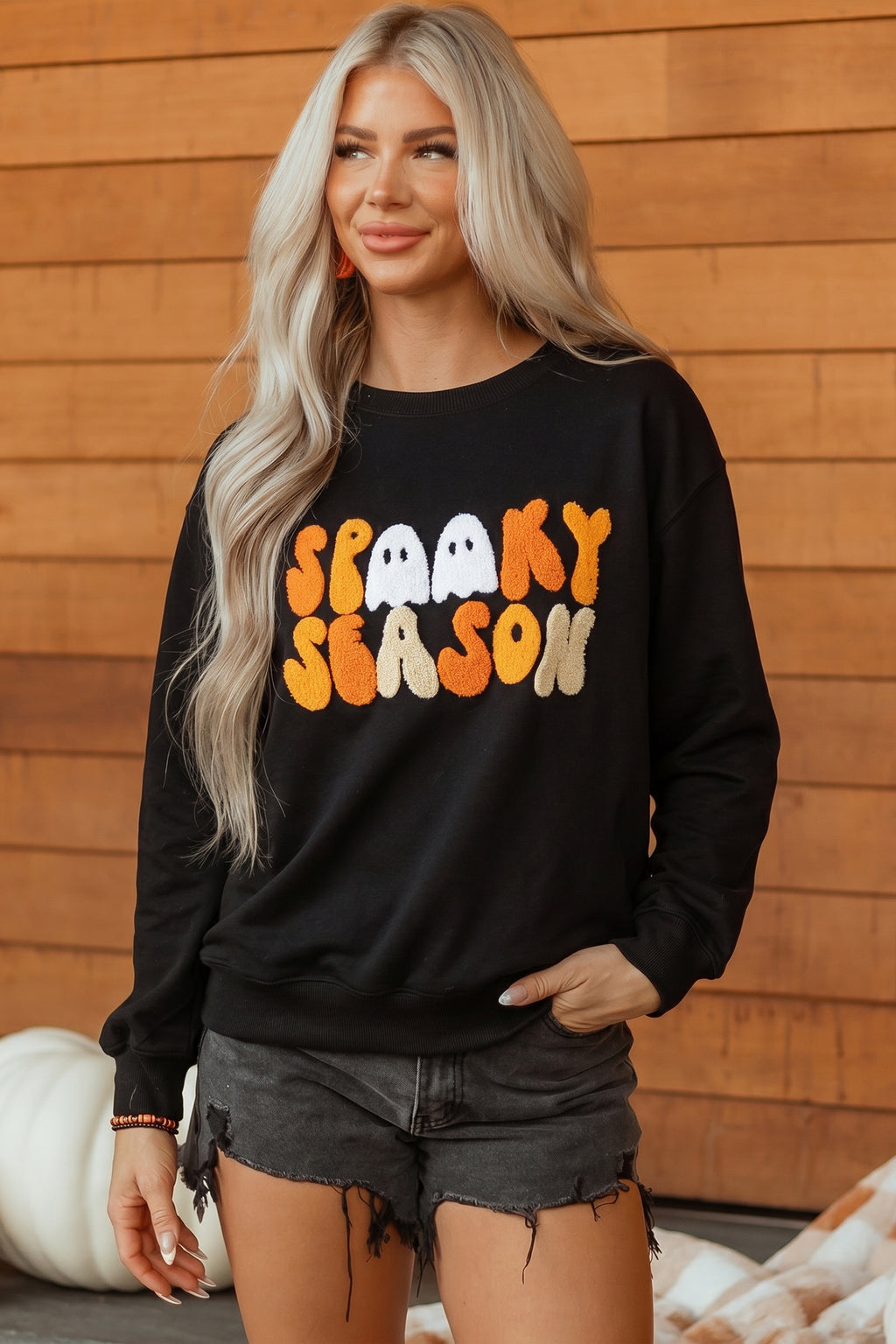 Color black Embroidered Spooky Season Graphic Long Sleeve Round Neck Pullover Sweatshirt
