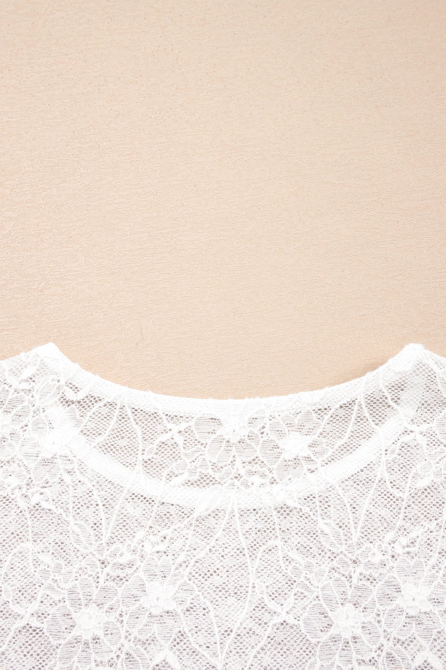 Beige Long Sleeve Sheer Mesh Lace Top